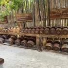 Tulum Jungle Gym Weights